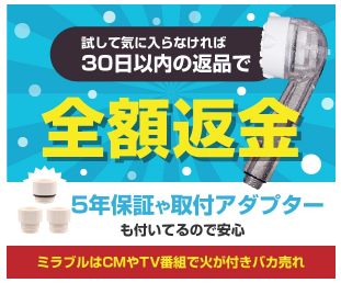 ミラブル ビックカメラ